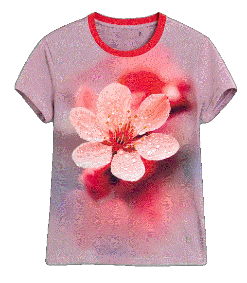 fashion styling garments from best style brands