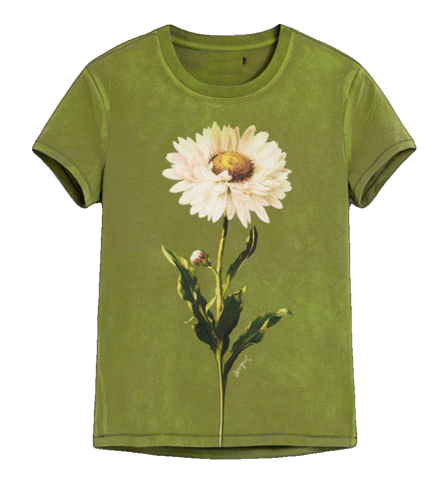 fashion styling garments from best style brands