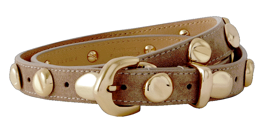 The vaal studded suede belt Amanu