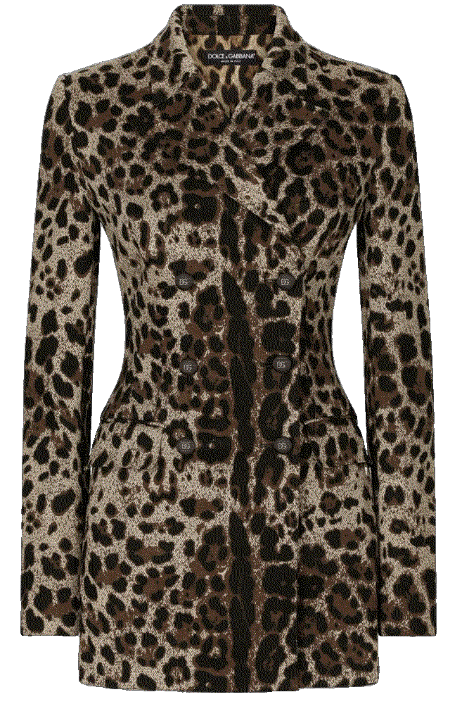 Dolce gabbana leopard print double breasted blazer Dolce Gabbana