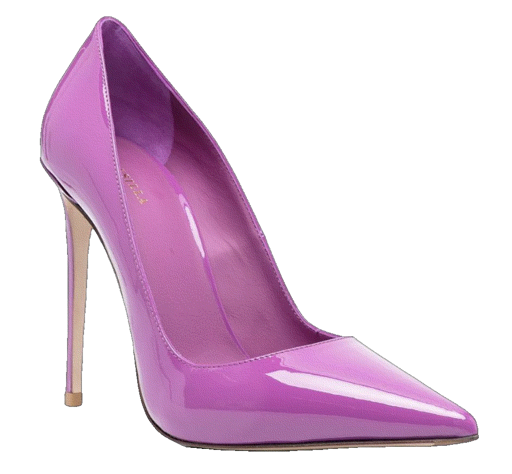 Le silla eva 120mm pumps Le Silla