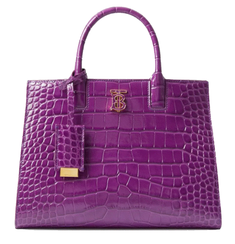 mini Frances leather tote bag Burberry