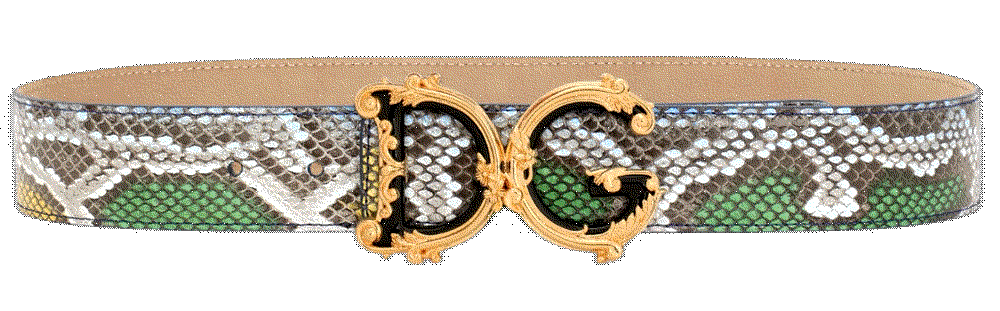 Dolce gabbana logo buckle snakeskin belt Dolce Gabbana